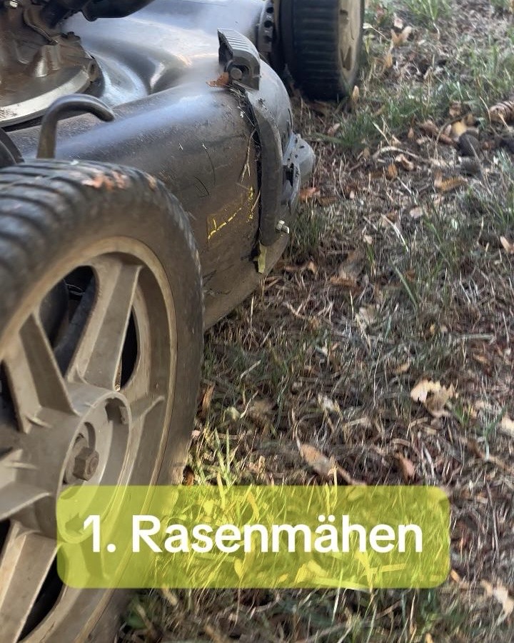 Neuer Beitrag